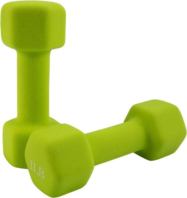Saorzon Dumbbells Set of 2 Exercise Fitness Dumbbell for Home Gym Free Weights Hand Hex Dumb Bells