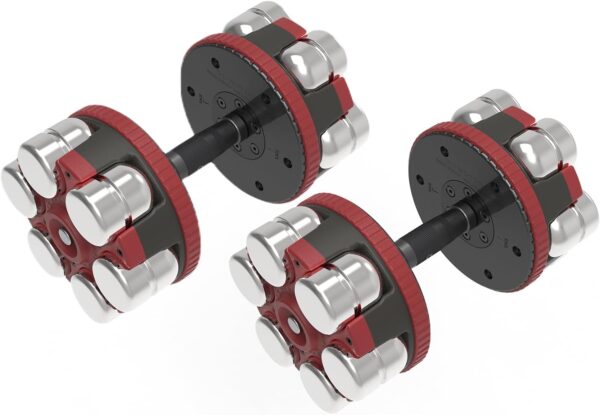 Fitness Reality 1 PAIR Adjustable Dumbbells 10-45 Pounds, 3 lbs increments, Adjustable Weight Kettlebell