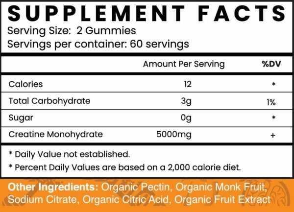 Creatine Monohydrate Gummies | 60 Servings | 5g Creatine Monohydrate per Serving | 120 creatine Gummies with Zero Sugar | All Organic Ingredients - Image 2