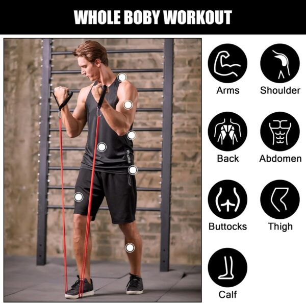 Odoland 5 Packs Pull Up Assist Bands, Pull Up Straps, Resistance Bands with Door Anchor and Handles, Stretch Mobility, Powerlifting and Extra Durable Exercise Bands with eGuide - Image 7