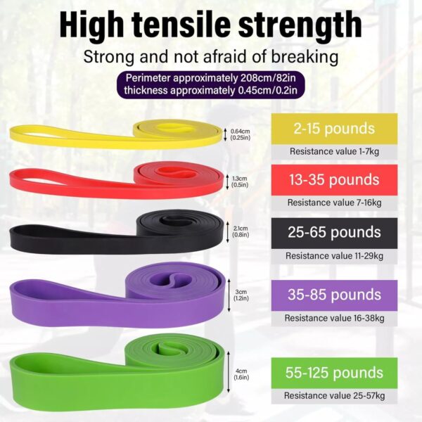 Heavy Duty Resistance Bands Set – 5 Resistance Levels for Men & Women, Natural Latex, Perfect for Home Workouts, Stretching, Muscle Toning, and Strength Training - Image 2