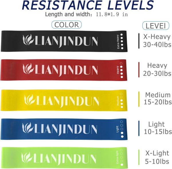 Professional 5 Pcs Long Resistance Bands and 5 Pcs Loop Bands. Latex-Free, Work Out Bands, Stretch Bands for Working Out Women or Men, Exercise Bands Set for Physical Therapy - Image 2
