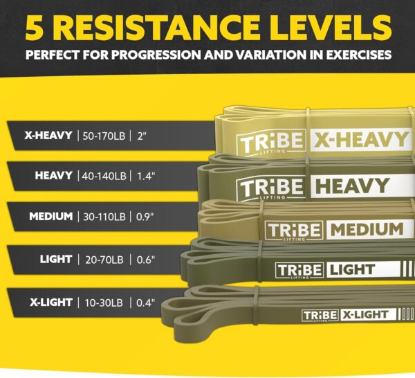 Long Resistance Bands for Working Out Men and Women - Set of 5 Pull-Up Bands, Rubber Handles and Door Anchor - Workout Bands Resistance for Men - Exercise Bands Resistance Bands Set - Image 2