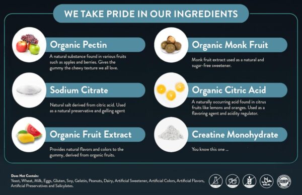 Creatine Monohydrate Gummies | 60 Servings | 5g Creatine Monohydrate per Serving | 120 creatine Gummies with Zero Sugar | All Organic Ingredients - Image 3