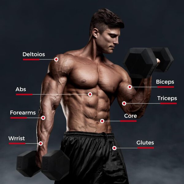 RITFIT 300/350/450/200/210 LB Rubber Hex Dumbbells Set with Optional Dumbbell Rack, Multi Weight Set to Choose, Ideal for Home Gym and Fitness - Image 6