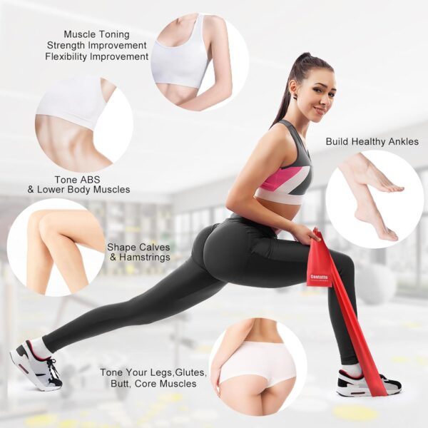 Exercise Bands Resistance Bands for Working Out, Workout Bands with Different Strengths, Elastic Band for Exercise, Physical Therapy Equipment, for Yoga, Strength Training, Pilates, Stretching - Image 2