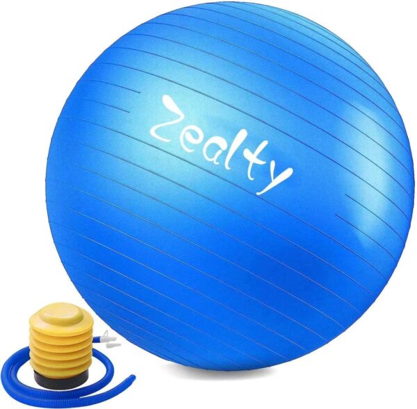 Yoga Ball Exercise Ball - Anti-Slip and Anti-Burst Workout Ball, Birthing Ball Fitness Ball with Quick Pump, Balance Ball Chair for Stability, Pregnancy and Physical Therapy