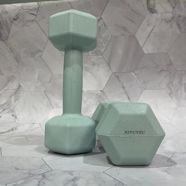 Dumb-bells, Workout Dumbbell Hand Weight, Alloy Steel Hexagon Dumbbell - Image 3