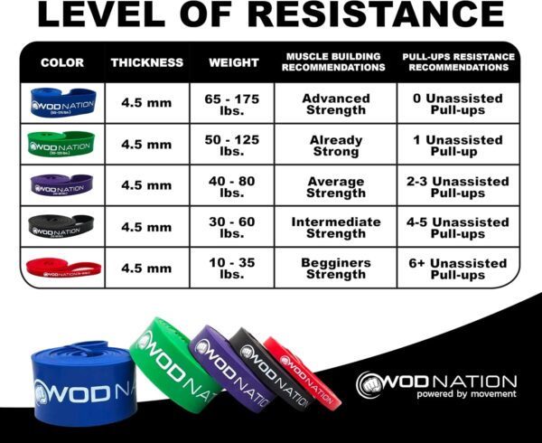 WOD Nation Pull Up Assistance Bands (10-175lbs Band) - Best for Pullup Assist, Chin Ups, Resistance Bands Exercise, Stretch, Mobility Work & Serious Fitness - 41 inch Straps - Image 3