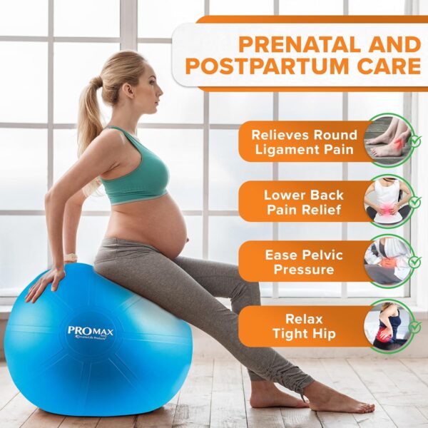 SmarterLife PRO MAX Workout Exercise Ball for Fitness, Yoga, Balance, Stability, or Birth Ball for Pregnancy and Labor, Great as Yoga Ball Chair for Office or Home Gym Equipment - Image 2