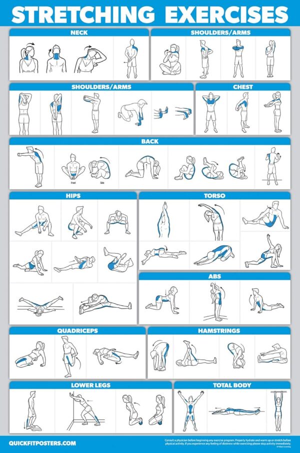 QuickFit 3 Pack - Dumbbell Workouts + Bodyweight Exercises + Stretching Routine Poster Set - Set of 3 Workout Charts (Laminated, 18" x 24") - Image 4
