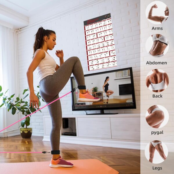 Resistance Band Set. Exercise Bands with Handles, Door Anchor and Ankle Strap. Home Gym, Supports Full-Body Workouts - with Fitness Poster and Video - Image 2