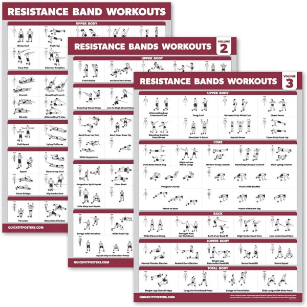 4 Pack - Resistance Bands Workout Exercise Posters Volume 1, 2 & 3 + Resistance Loops Fitness Chart (LAMINATED, 18" x 24") - Image 5