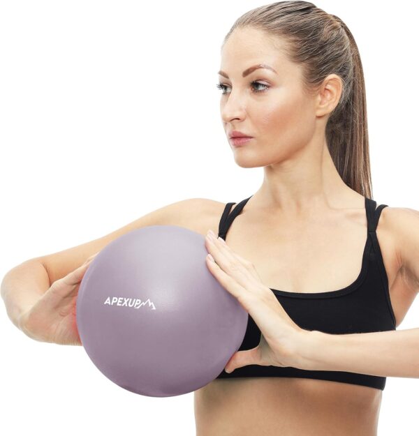 APEXUP Pilates Ball, 9 Inch Small Exercise Ball, Mini Core Ball Yoga Ball for Pilates, Stability, Workout, Core Training, Fitness, Barre, Physical Therapy, Balance (Mauve)